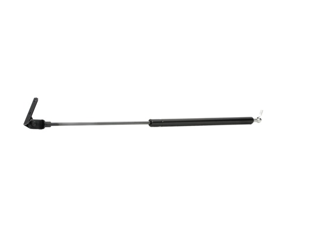 RIDEX 219G0304 Plinska vzmet, prostor za prtljago/prtljaznik SUBARU EVOLTIS 2024