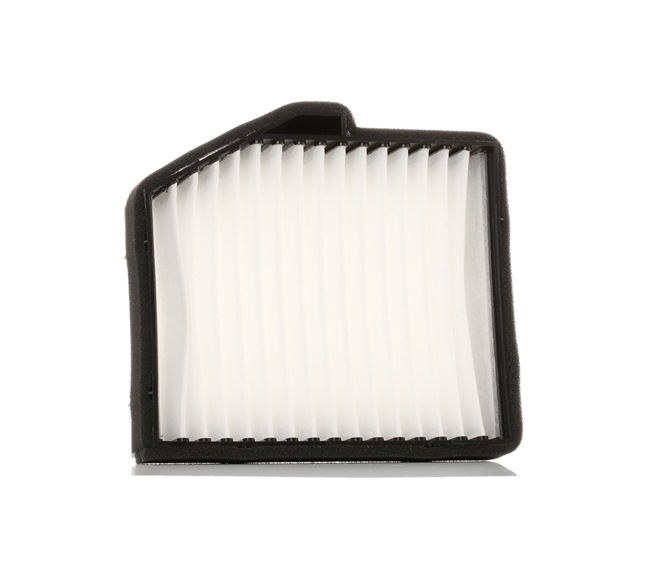 RIDEX 974064A910 Innenraumfilter 424I0179