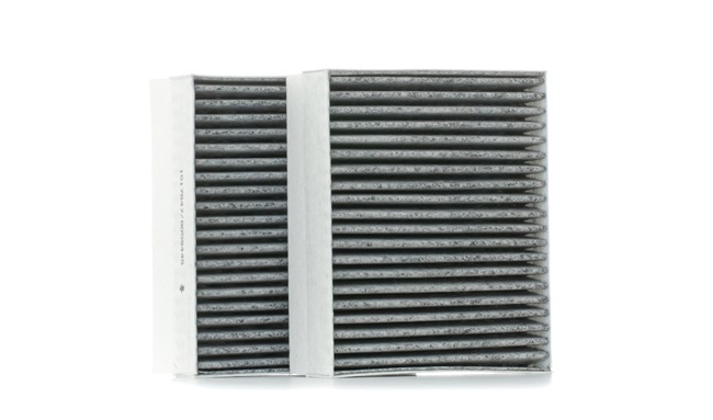 RIDEX 424I0328 Daihatsu Cuore L201 Raitisilmasuodatin
