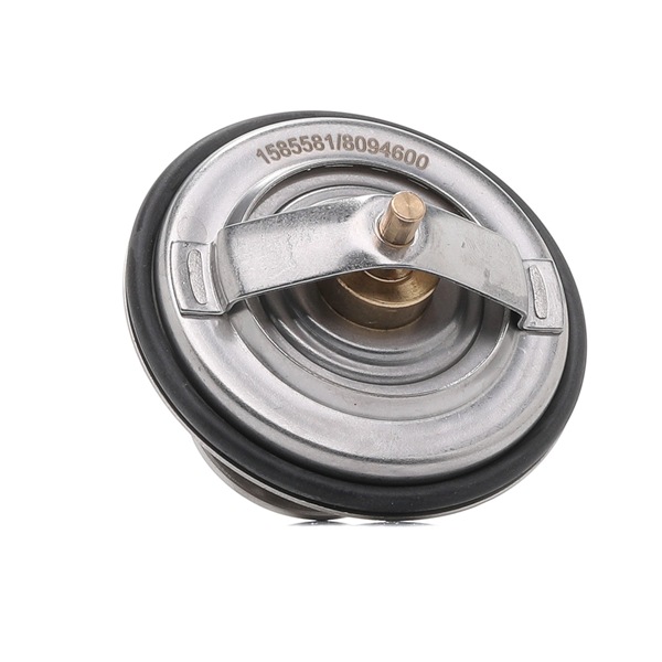 RIDEX 316T0010 Wysokiej marki jakość