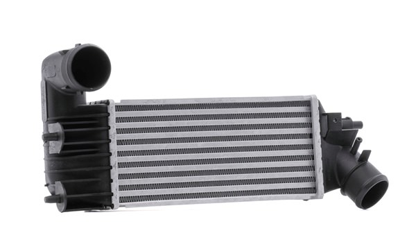 STARK SKICC-0890011 Kvalitet & fair priser
