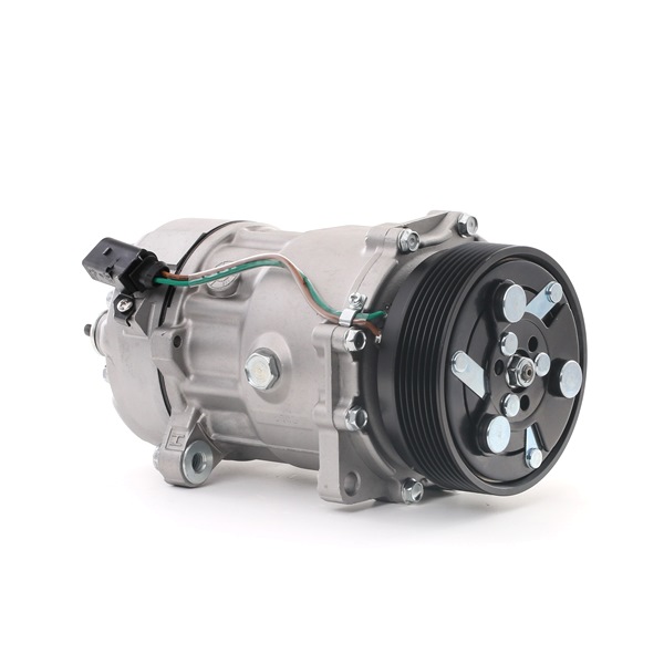 RIDEX 447K0023 Compressor de ar condicionado VW Bora Variant preço