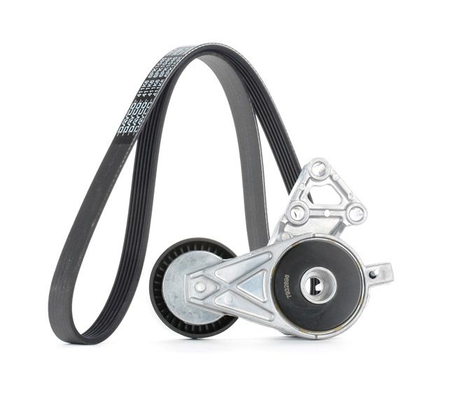 STARK SKRBS-1200044 Kit cinghia servizi VW Passat B6 Variant 1.6 102 CV Benzina 2005