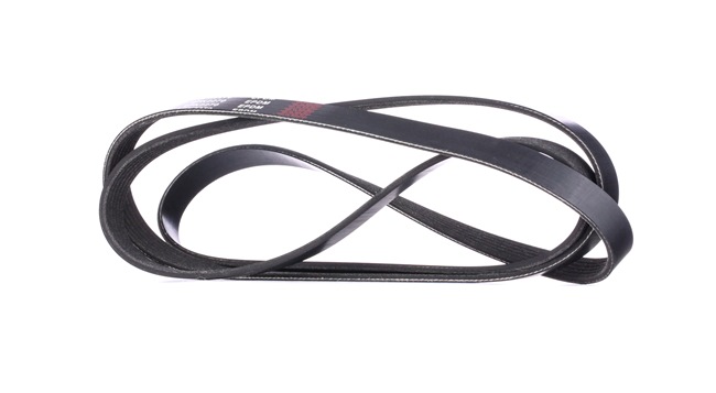 RIDEX 305P0101 Keilrippenriemen LAND ROVER Kosten