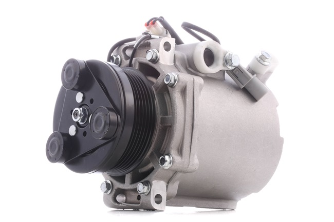RIDEX 447K0125 aircopomp 7813A402