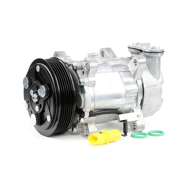 RIDEX 447K0177 Compressor de ar condicionado Peugeot 206 2A/C preço