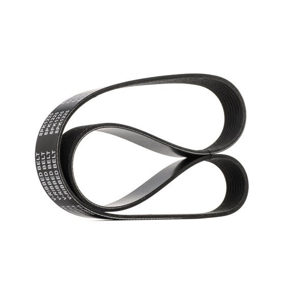 RIDEX 305P0155 Ribrem Mazda 5 CR19