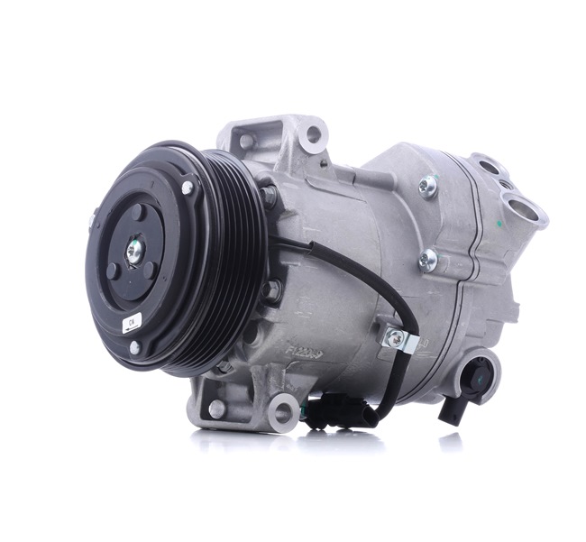 RIDEX 447K0204 aircopomp 13335252