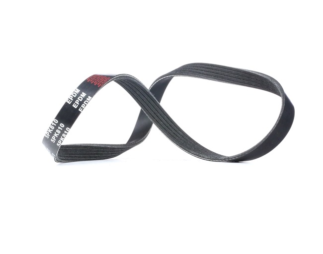 RIDEX 305P0024 Keilrippenriemen LAND ROVER Range Rover III (L322)
