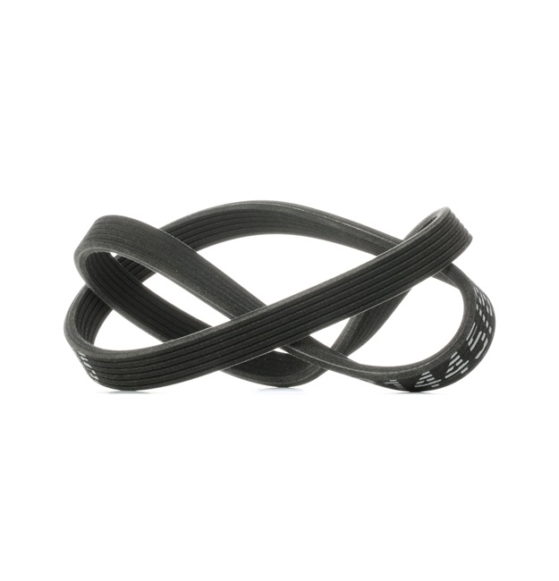 RIDEX 305P0153 Cinghia servizi VW Multivan T5 1.9 TDI 84 CV Diesel 2007