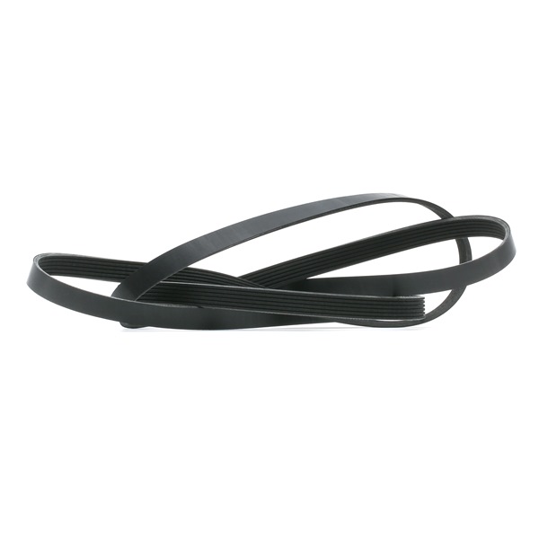 RIDEX 53002899 Moniurahihna 305P0235