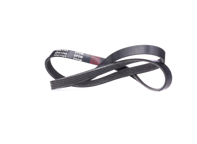 RIDEX 305P0174 Multiriem Mitsubishi Pajero 2