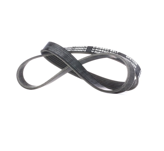 RIDEX 305P0291 Cinghia servizi LADA NOVA 2005 originale prezzo