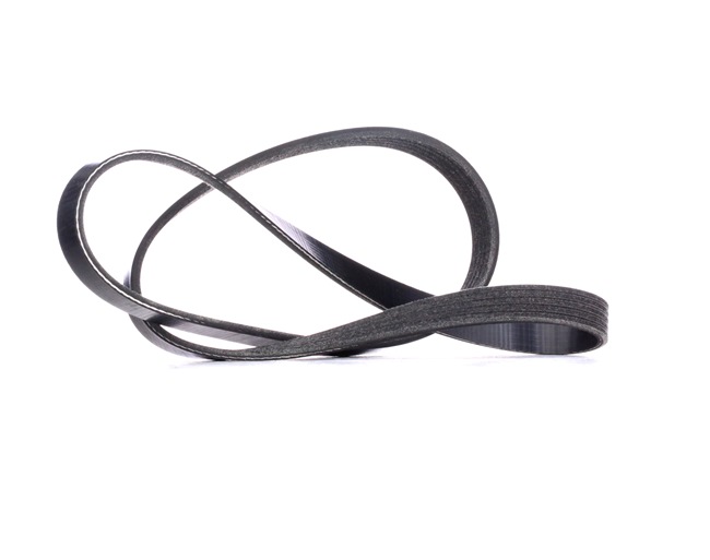 RIDEX 305B0258 multiriem 1421341