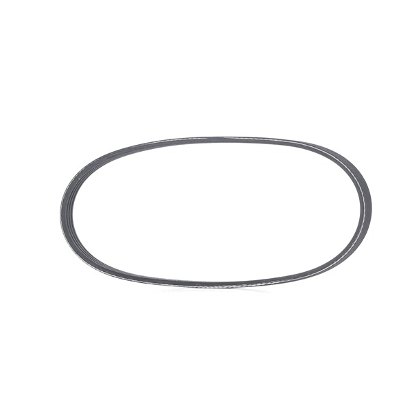 RIDEX 305P0339 multiriem 3485086