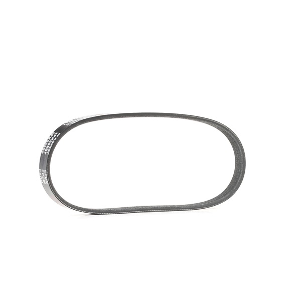 RIDEX 305P0288 multiriem 7 690 571