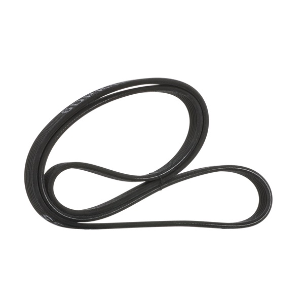 RIDEX 305P0191 Cinghia servizi BMW prezzo