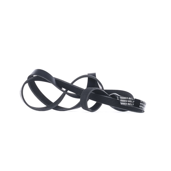 RIDEX 305P0180 Jeep Compass M6 Moniurahihna