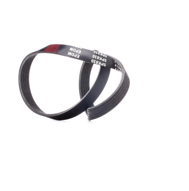 RIDEX 305P0197 multiriem 1854701