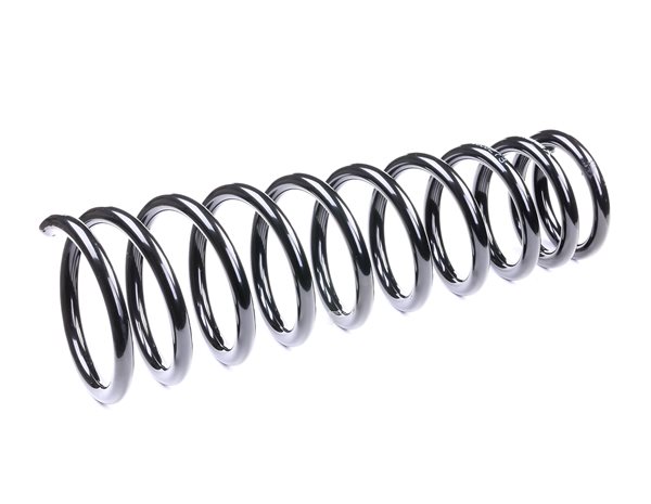 RIDEX 188C0273 Calidad y precios justos