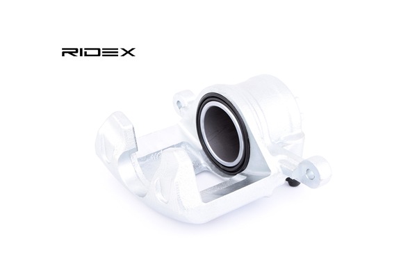 RIDEX 78B0066 Okvir kolutne zavore DAEWOO LABO 2021