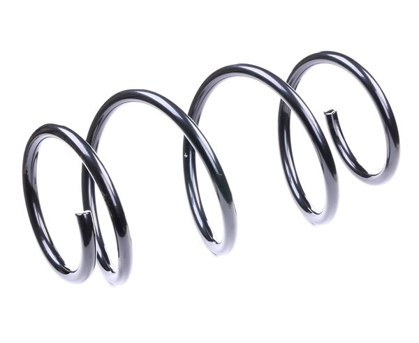 RIDEX 188C0030 BMW E39 Jouset