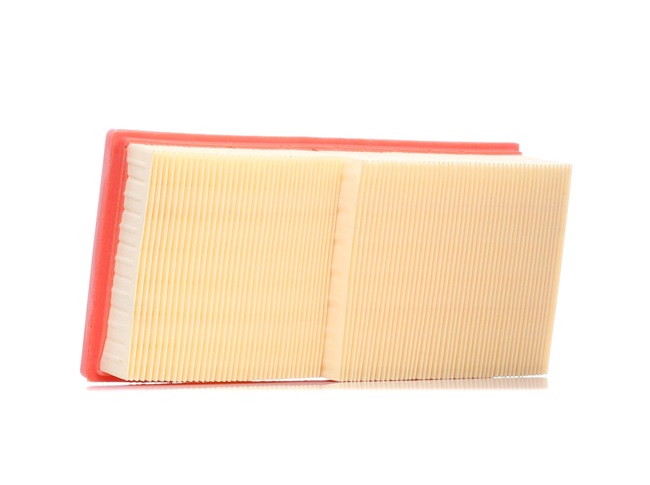 RIDEX 8A0048 Luftfilter CHRYSLER CROSSFIRE 2008