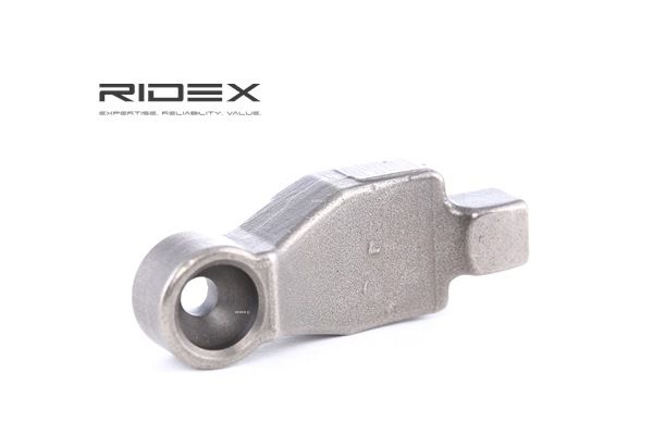 RIDEX 561R0010 kleptuimelaar 090346