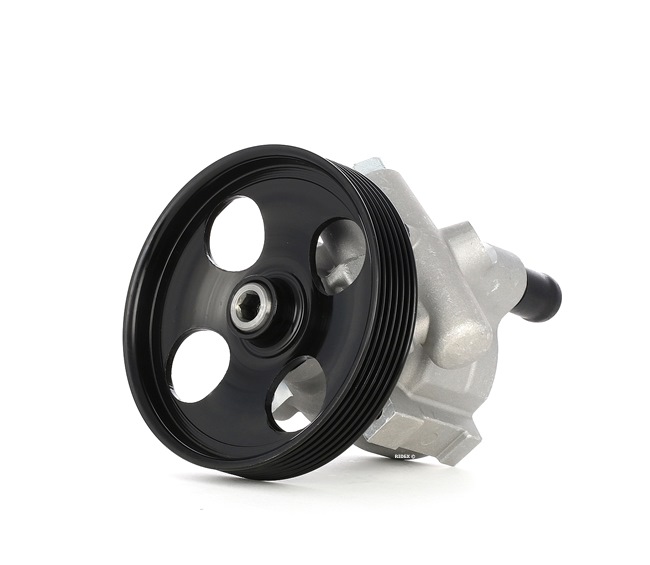 RIDEX 12H0006 Servopumpe NISSAN Kosten
