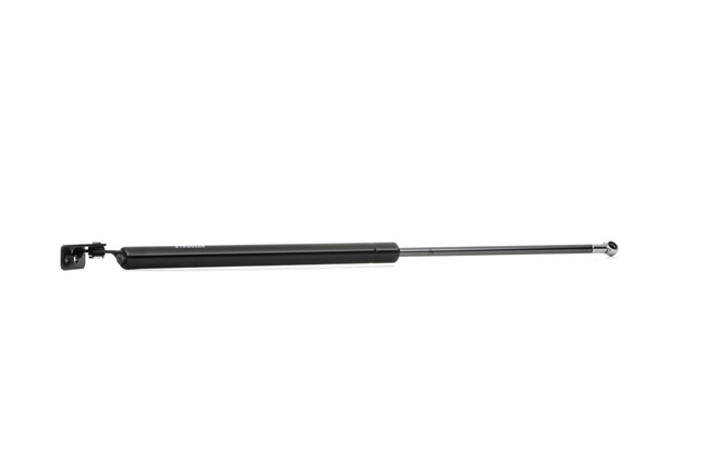RIDEX G14S62620C Bagklapsdæmper 219G0228
