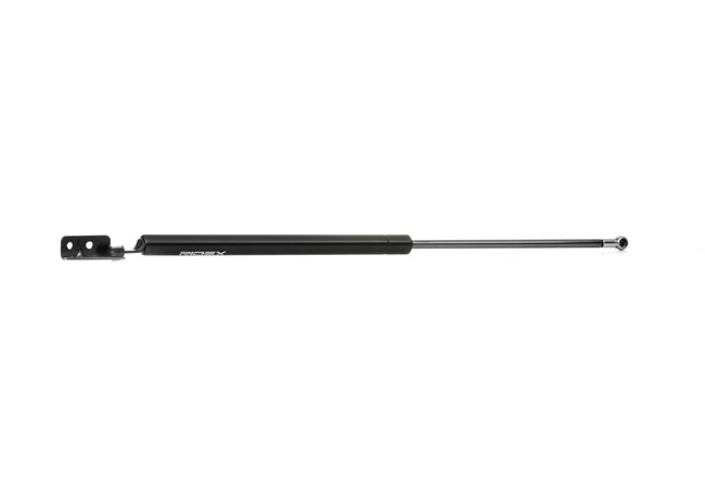 RIDEX 219G0225 gasveer achterklep G14S63620C