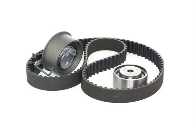 Distributieriem set van SKF VKMA 95667 aan aanvaardbare prijs
