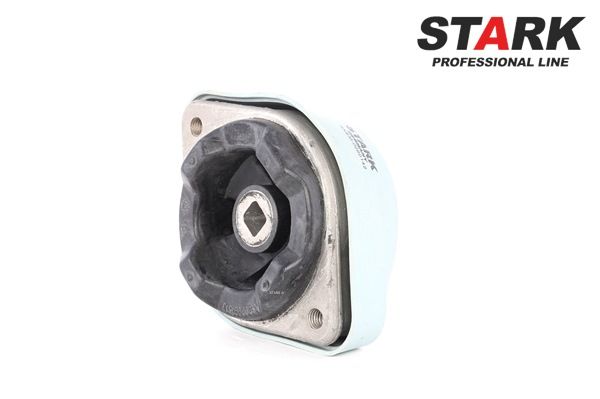 STARK SKEM-0660142 motorfeste Passat 3B6 2.5 TDI 150 hk Diesel 2004