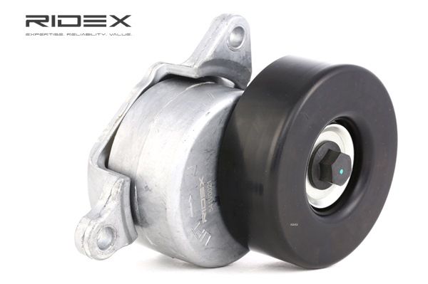 RIDEX 541V0021 1A-Qualität und faire Preise