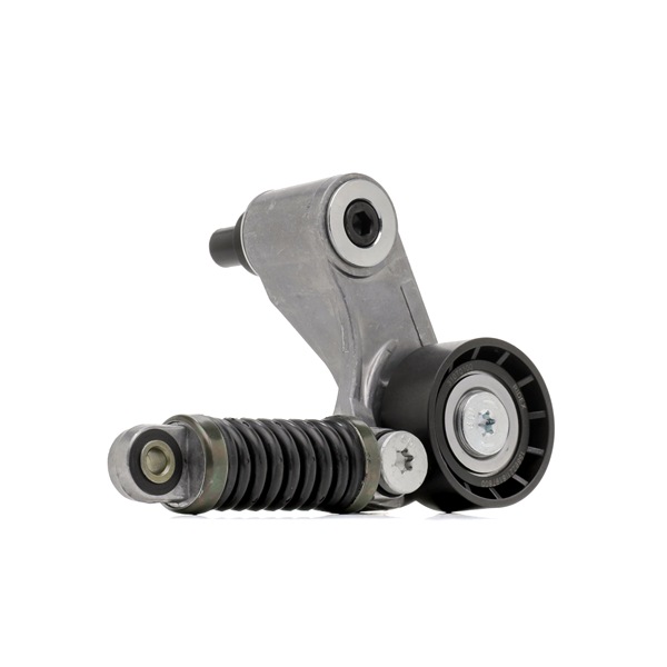 RIDEX 310T0100 Calidad y precios justos