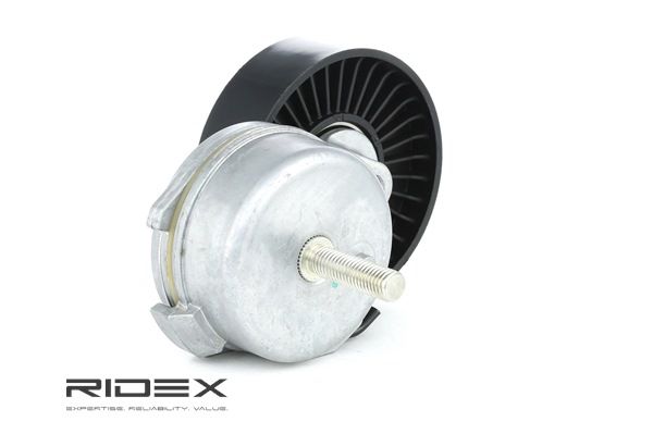 RIDEX 310T0021 Calidad y precios justos