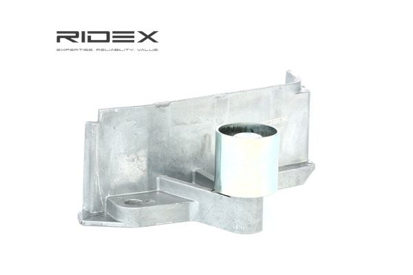 313D0107 RIDEX 06A109181 Umlenkrolle, Zahnriemen