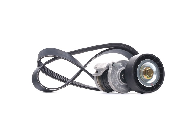 DAYCO KPV262 Keilrippenriemensatz Passat B6 Variant 2.0 BlueTDI 143 PS Diesel 2009