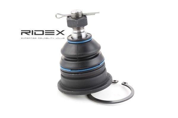 RIDEX 2462S0133 fuseekogel E4525 2S486