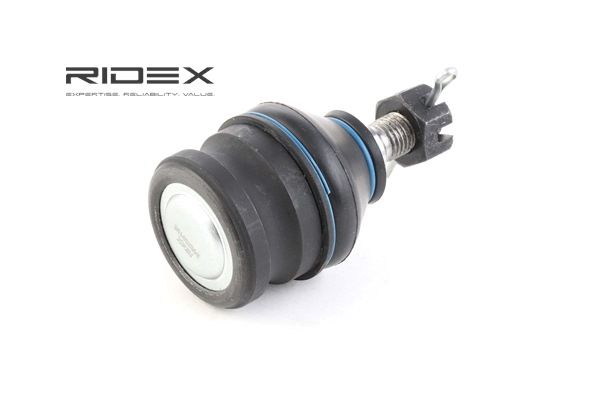 RIDEX 2462S0106 Kwaliteit & eerlijke prijsbepaling