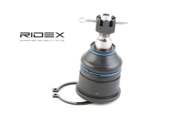 RIDEX 2462S0082 Šarnyras ROVER MINI 1995