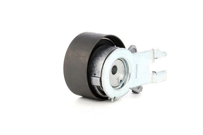 RIDEX 308T0054 Calidad y precios justos