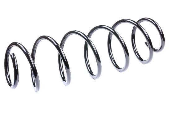 RIDEX 188C0053 chassisveer 50701023