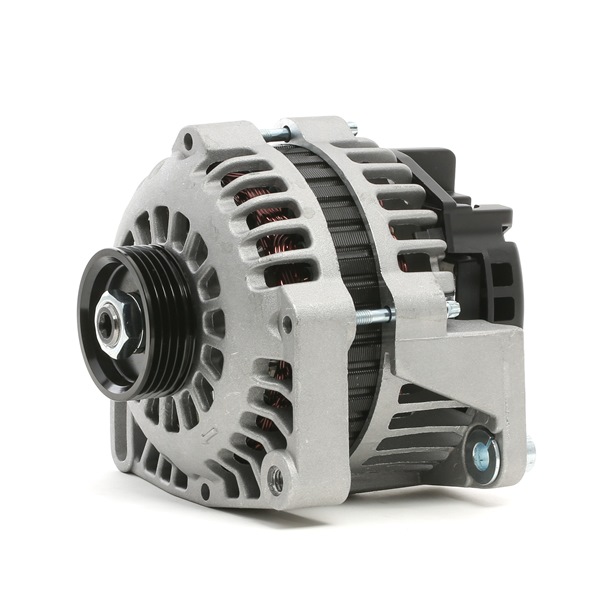 STARK SKGN-0320143 Alternator RENAULT Kangoo II MPV (FC)