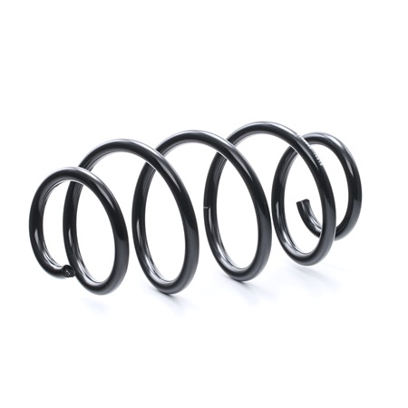 RIDEX 188C0265 Federn Audi A3 8P