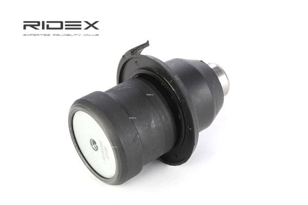 RIDEX 2462S0158 A-kwaliteit en eerlijke prijzen