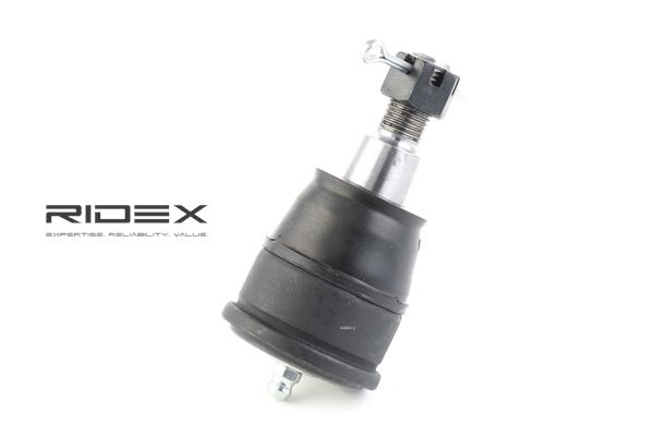 RIDEX 2462S0229 Šarnyras Honda CR-V II 2.4 4WD (RD7) 162 AG benzinas 2006