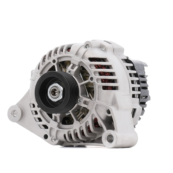 STARK SKGN-0320203 Spitzenqualität zu preiswerten Preisen