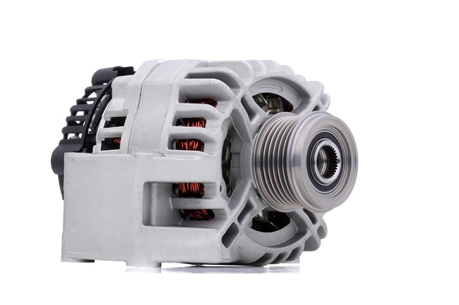 STARK SKGN-0320213 Spitzenqualität zu preiswerten Preisen