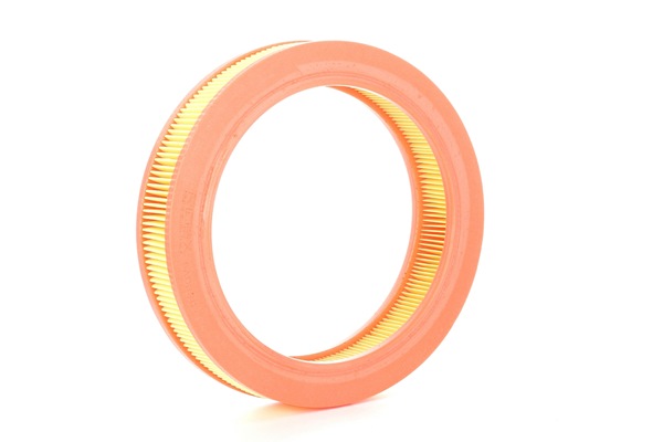 RIDEX 1444.L5 Luchtfilter 8A0390